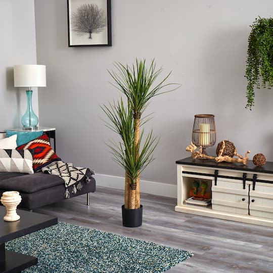 4.8ft. Potted Yucca Tree